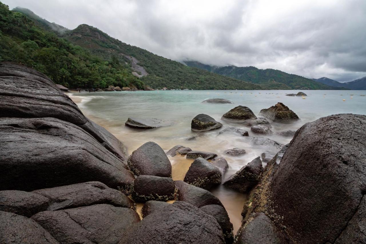 Fauna Praia do Bananal Exterior photo